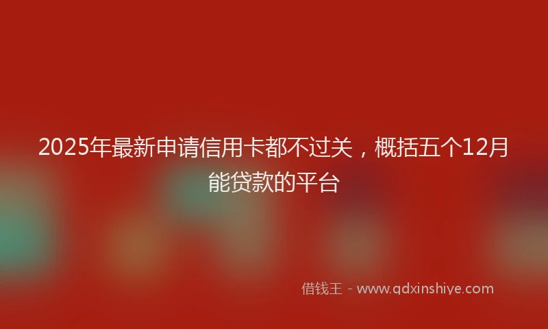 2025年最新申请信用卡都不过关，概括五个12月能贷款的平台