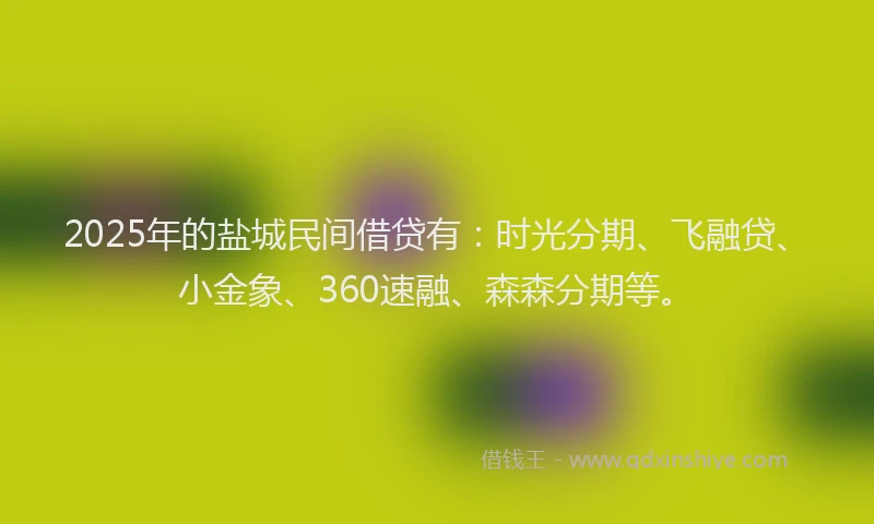 2025年的盐城民间借贷有：时光分期、飞融贷、小金象、360速融、森森分期等。