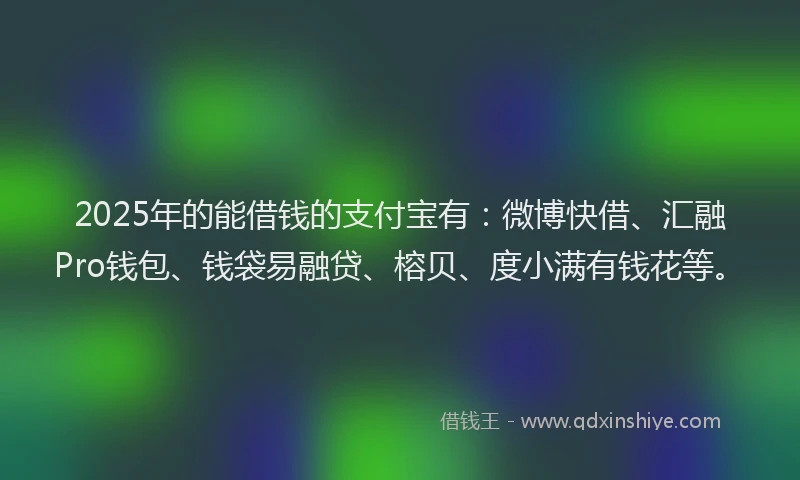 2025年的能借钱的支付宝有：微博快借、汇融Pro钱包、钱袋易融贷、榕贝、度小满有钱花等。