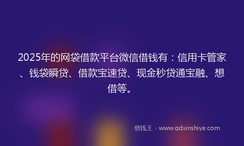 2025年的网袋借款平台微信借钱有：信用卡管家、钱袋瞬贷、借款宝速贷、现金秒贷通宝融、想借等。