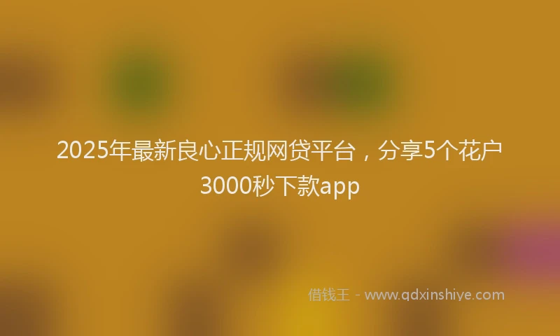2025年最新良心正规网贷平台，分享5个花户3000秒下款app