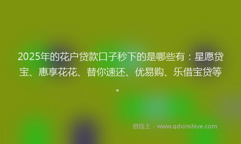2025年的花户贷款口子秒下的是哪些有：星愿贷宝、惠享花花、替你速还、优易购、乐借宝贷等。