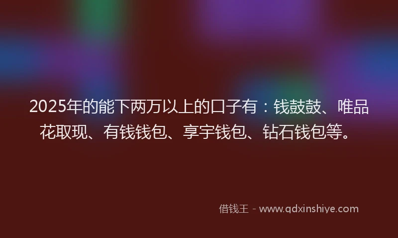 2025年的能下两万以上的口子有：钱鼓鼓、唯品花取现、有钱钱包、享宇钱包、钻石钱包等。