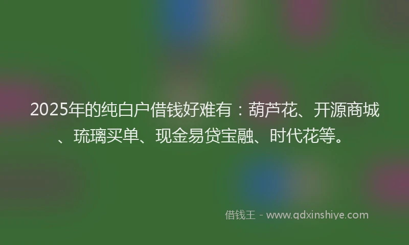 2025年的纯白户借钱好难有：葫芦花、开源商城、琉璃买单、现金易贷宝融、时代花等。