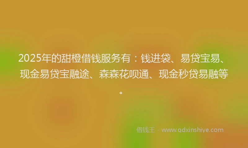 2025年的甜橙借钱服务有：钱进袋、易贷宝易、现金易贷宝融途、森森花呗通、现金秒贷易融等。