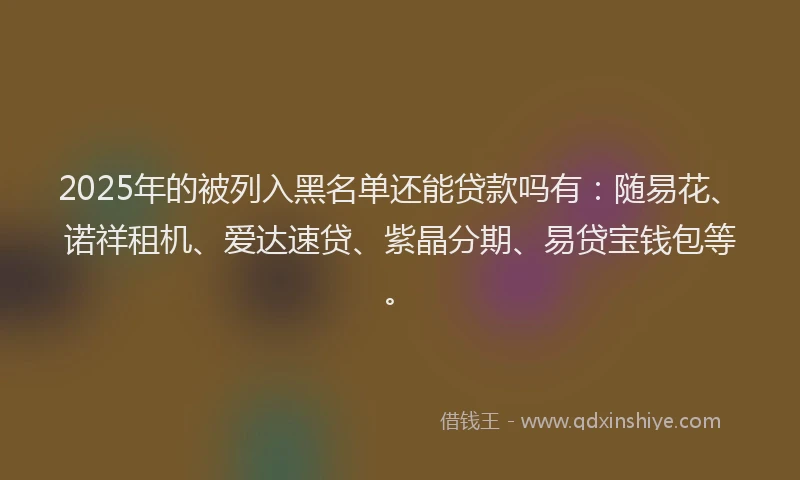 2025年的被列入黑名单还能贷款吗有：随易花、诺祥租机、爱达速贷、紫晶分期、易贷宝钱包等。