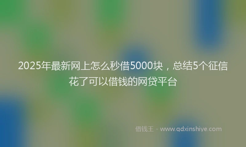 2025年最新网上怎么秒借5000块，总结5个征信花了可以借钱的网贷平台
