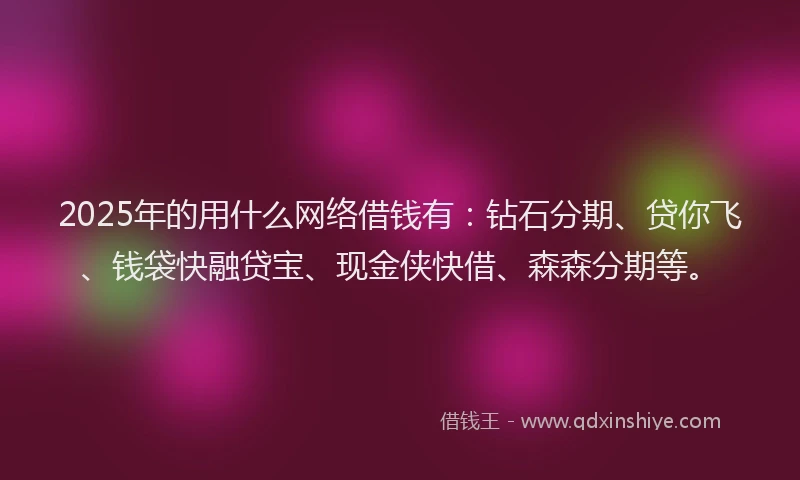 2025年的用什么网络借钱有：钻石分期、贷你飞、钱袋快融贷宝、现金侠快借、森森分期等。