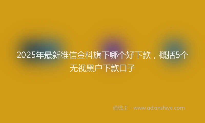 2025年最新维信金科旗下哪个好下款，概括5个无视黑户下款口子