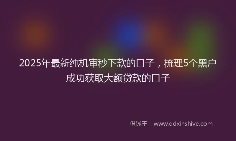 2025年最新纯机审秒下款的口子，梳理5个黑户成功获取大额贷款的口子