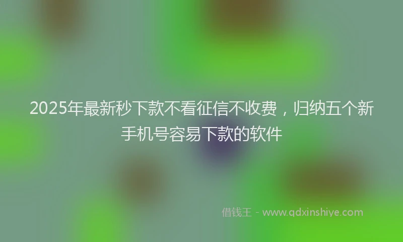 2025年最新秒下款不看征信不收费，归纳五个新手机号容易下款的软件