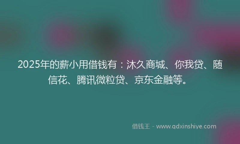 2025年的薪小用借钱有：沐久商城、你我贷、随信花、腾讯微粒贷、京东金融等。