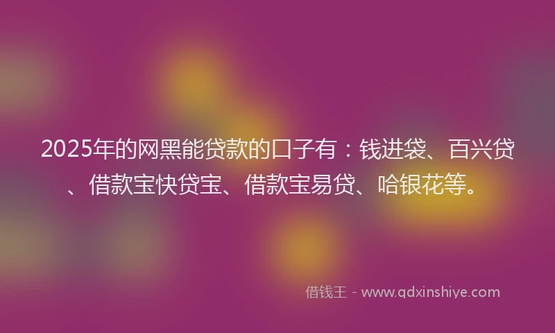 2025年的网黑能贷款的口子有：钱进袋、百兴贷、借款宝快贷宝、借款宝易贷、哈银花等。