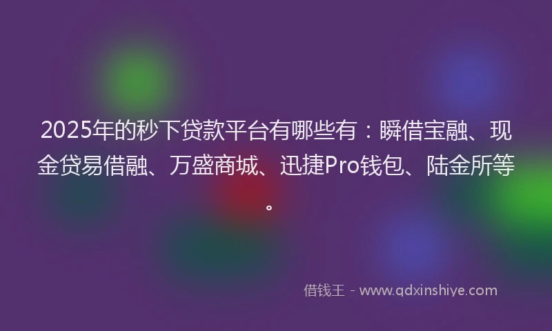 2025年的秒下贷款平台有哪些有：瞬借宝融、现金贷易借融、万盛商城、迅捷Pro钱包、陆金所等。