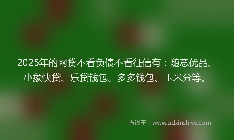 2025年的网贷不看负债不看征信有:随意优品、小象快贷、乐贷钱包、多多钱包、玉米分等。