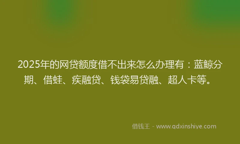 2025年的网贷额度借不出来怎么办理有：蓝鲸分期、借蛙、疾融贷、钱袋易贷融、超人卡等。