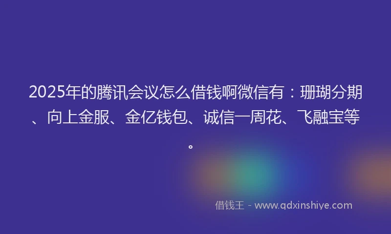 2025年的腾讯会议怎么借钱啊微信有：珊瑚分期、向上金服、金亿钱包、诚信一周花、飞融宝等。