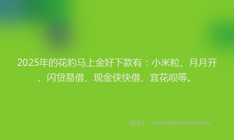 2025年的花豹马上金好下款有：小米粒、月月开、闪贷易借、现金侠快借、宜花呗等。