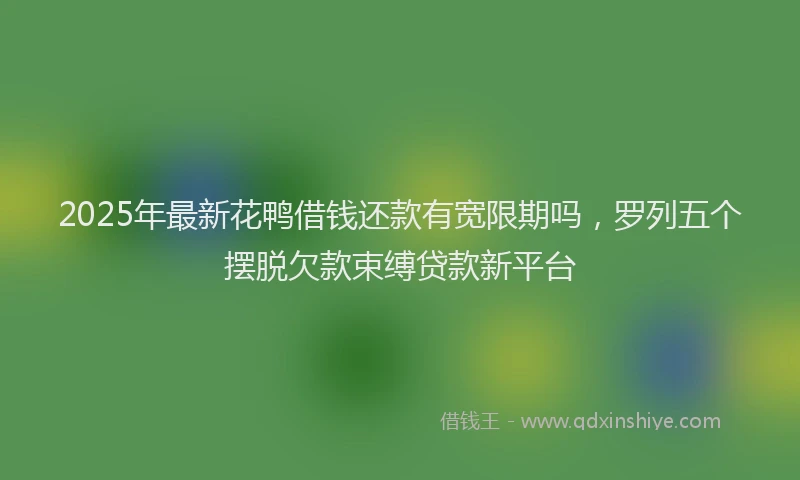 2025年最新花鸭借钱还款有宽限期吗，罗列五个摆脱欠款束缚贷款新平台