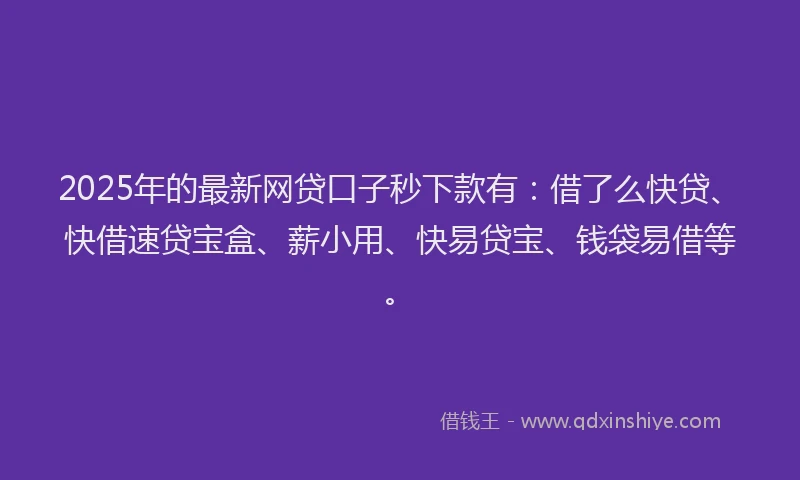 2025年的最新网贷口子秒下款有：借了么快贷、快借速贷宝盒、薪小用、快易贷宝、钱袋易借等。