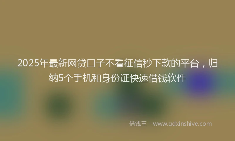 2025年最新网贷口子不看征信秒下款的平台，归纳5个手机和身份证快速借钱软件
