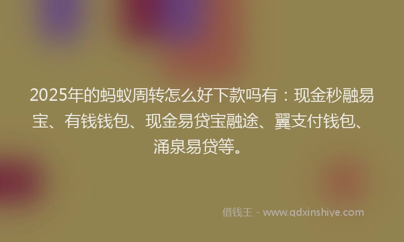 2025年的蚂蚁周转怎么好下款吗有：现金秒融易宝、有钱钱包、现金易贷宝融途、翼支付钱包、涌泉易贷等。