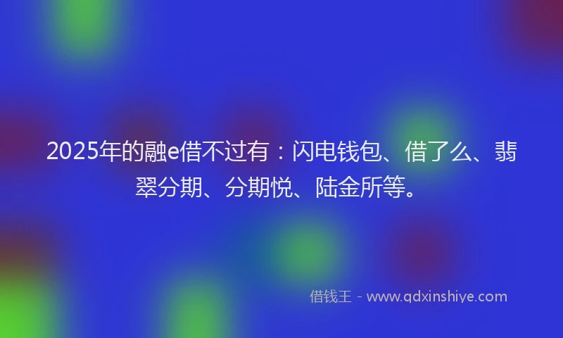 2025年的融e借不过有：闪电钱包、借了么、翡翠分期、分期悦、陆金所等。