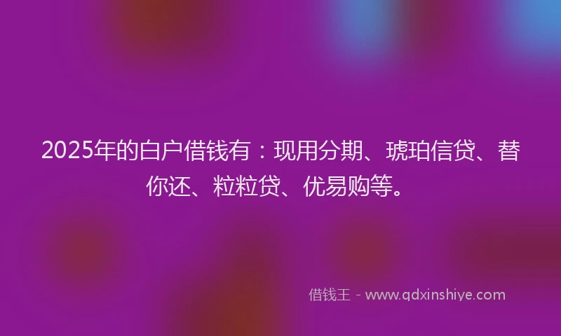 2025年的白户借钱有：现用分期、琥珀信贷、替你还、粒粒贷、优易购等。