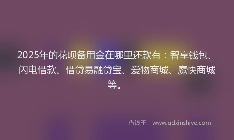 2025年的花呗备用金在哪里还款有：智享钱包、闪电借款、借贷易融贷宝、爱物商城、魔快商城等。