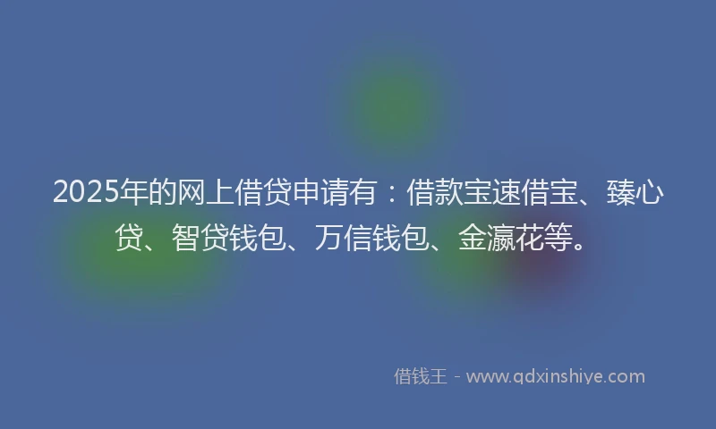 2025年的网上借贷申请有：借款宝速借宝、臻心贷、智贷钱包、万信钱包、金瀛花等。