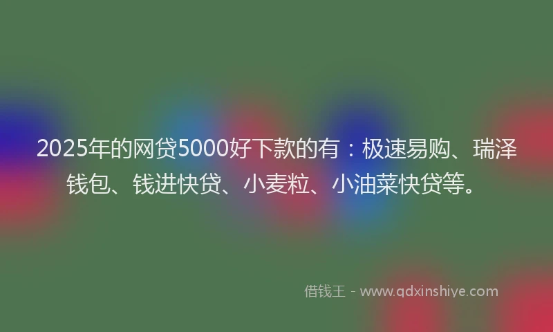 2025年的网贷5000好下款的有：极速易购、瑞泽钱包、钱进快贷、小麦粒、小油菜快贷等。