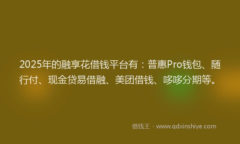 2025年的融享花借钱平台有:普惠Pro钱包、随行付、现金贷易借融、美团借钱、哆哆分期等。