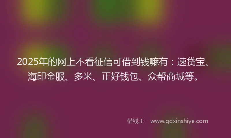 2025年的网上不看征信可借到钱嘛有：速贷宝、海印金服、多米、正好钱包、众帮商城等。