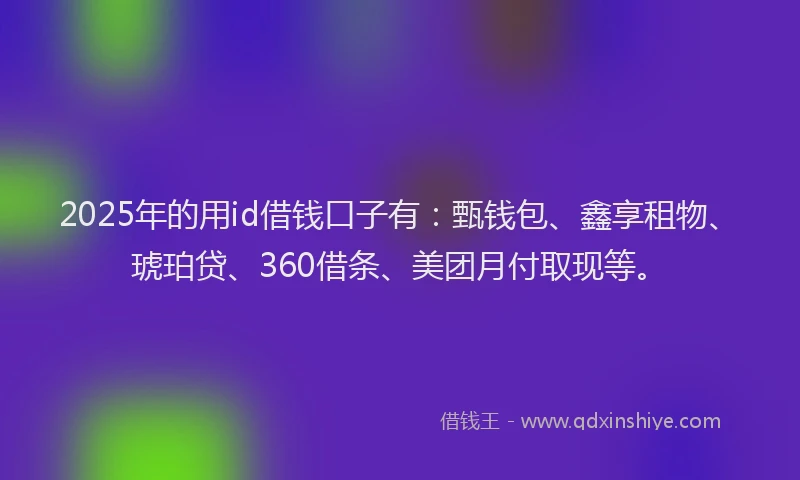 2025年的用id借钱口子有：甄钱包、鑫享租物、琥珀贷、360借条、美团月付取现等。