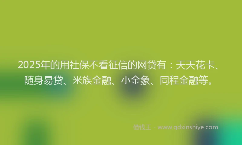 2025年的用社保不看征信的网贷有：天天花卡、随身易贷、米族金融、小金象、同程金融等。