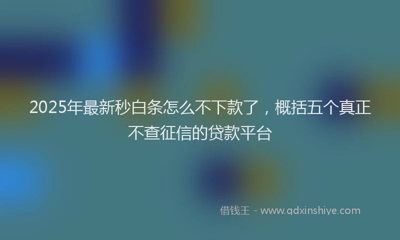 2025年最新秒白条怎么不下款了，概括五个真正不查征信的贷款平台