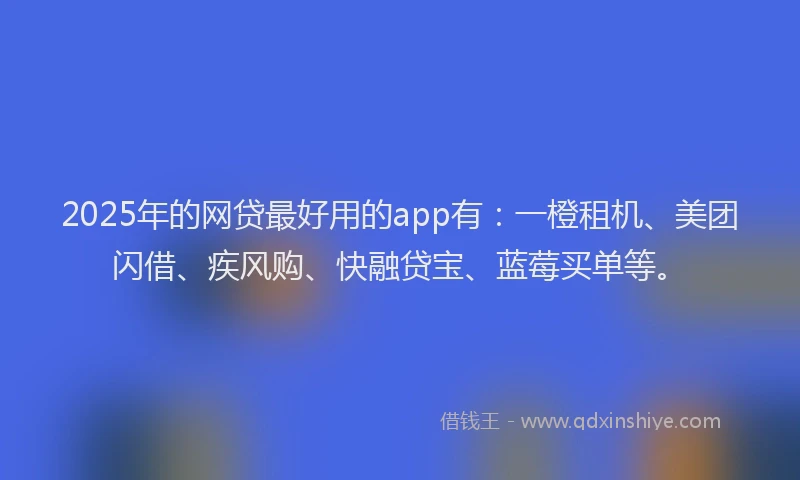 2025年的网贷最好用的app有：一橙租机、美团闪借、疾风购、快融贷宝、蓝莓买单等。
