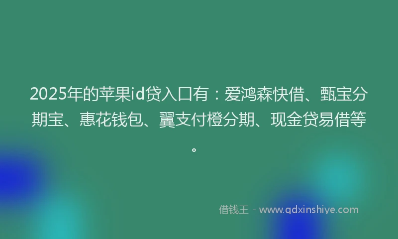 2025年的苹果id贷入口有：爱鸿森快借、甄宝分期宝、惠花钱包、翼支付橙分期、现金贷易借等。