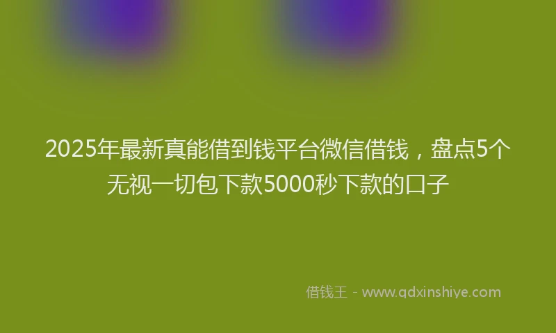 2025年最新真能借到钱平台微信借钱，盘点5个无视一切包下款5000秒下款的口子