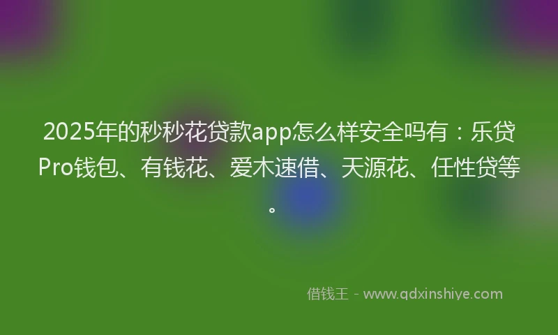 2025年的秒秒花贷款app怎么样安全吗有：乐贷Pro钱包、有钱花、爱木速借、天源花、任性贷等。