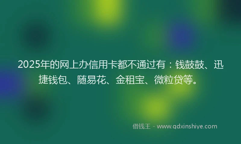 2025年的网上办信用卡都不通过有：钱鼓鼓、迅捷钱包、随易花、金租宝、微粒贷等。