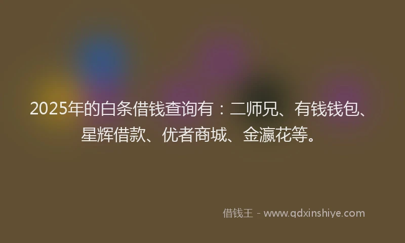 2025年的白条借钱查询有：二师兄、有钱钱包、星辉借款、优者商城、金瀛花等。
