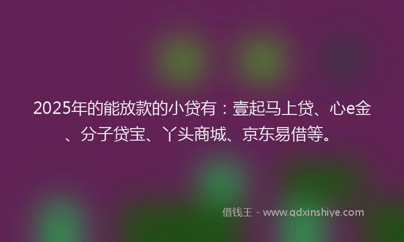 2025年的能放款的小贷有：壹起马上贷、心e金、分子贷宝、丫头商城、京东易借等。