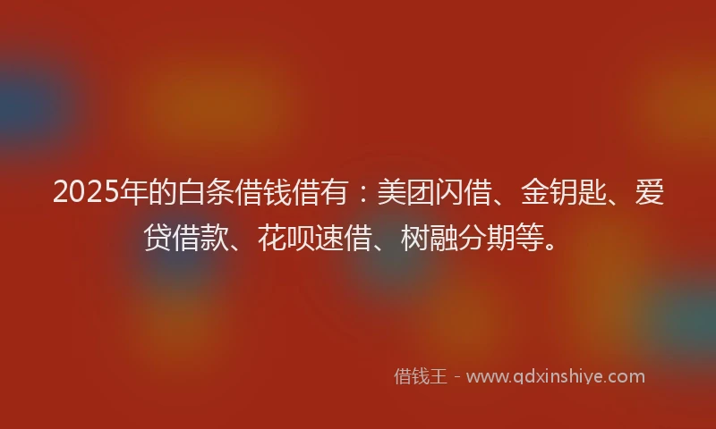 2025年的白条借钱借有：美团闪借、金钥匙、爱贷借款、花呗速借、树融分期等。