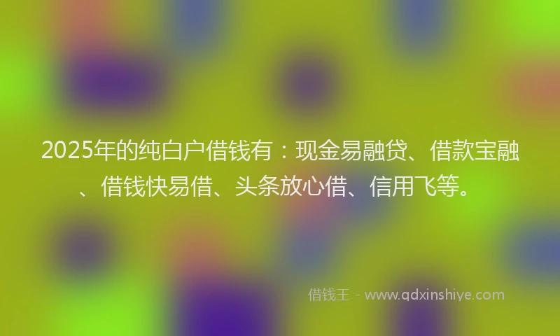 2025年的纯白户借钱有：现金易融贷、借款宝融、借钱快易借、头条放心借、信用飞等。
