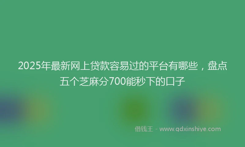 2025年最新网上贷款容易过的平台有哪些，盘点五个芝麻分700能秒下的口子