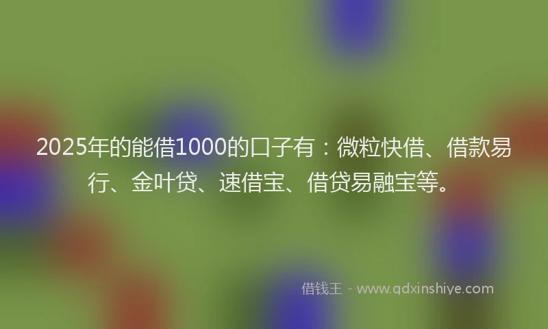 2025年的能借1000的口子有：微粒快借、借款易行、金叶贷、速借宝、借贷易融宝等。
