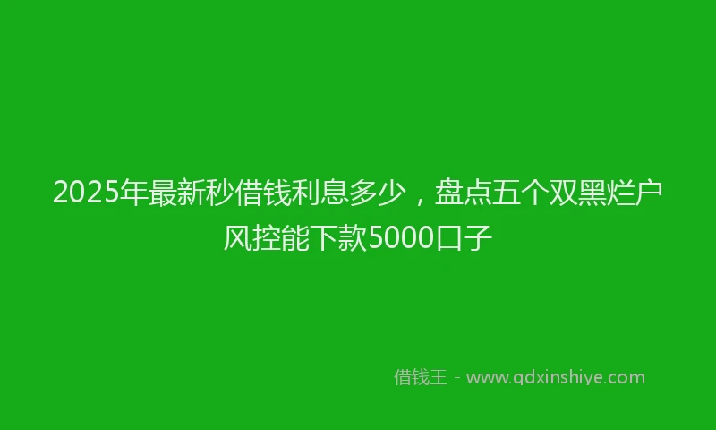 2025年最新秒借钱利息多少，盘点五个双黑烂户风控能下款5000口子