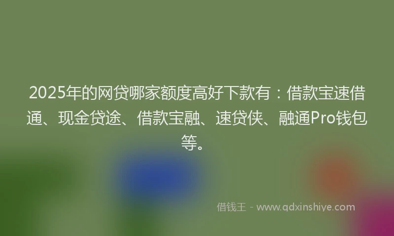 2025年的网贷哪家额度高好下款有：借款宝速借通、现金贷途、借款宝融、速贷侠、融通Pro钱包等。