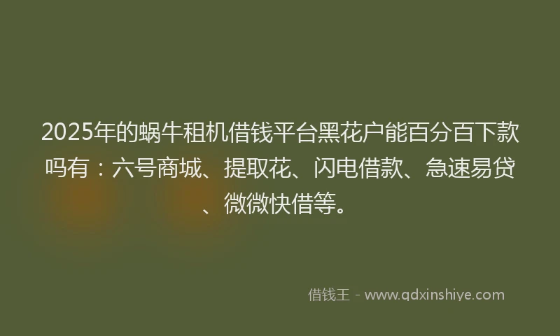 2025年的蜗牛租机借钱平台黑花户能百分百下款吗有：六号商城、提取花、闪电借款、急速易贷、微微快借等。